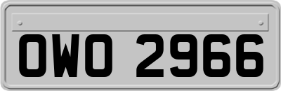 OWO2966