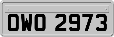 OWO2973