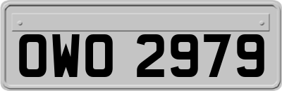 OWO2979