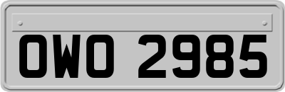 OWO2985