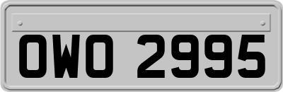 OWO2995