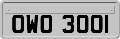 OWO3001
