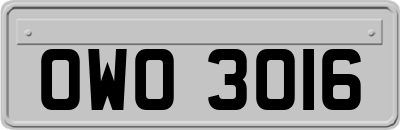 OWO3016