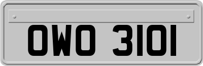 OWO3101