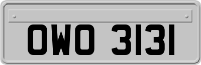 OWO3131