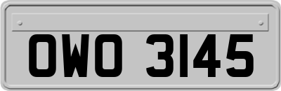 OWO3145
