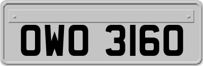 OWO3160