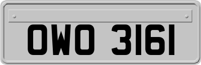 OWO3161