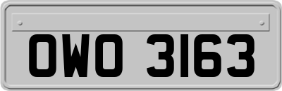 OWO3163