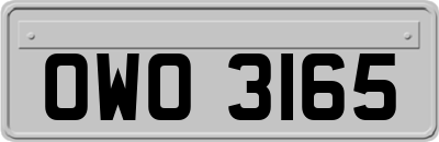 OWO3165