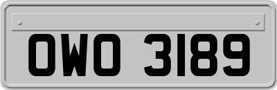 OWO3189