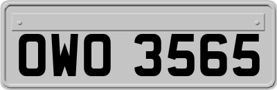OWO3565