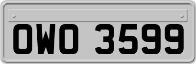 OWO3599