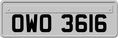 OWO3616
