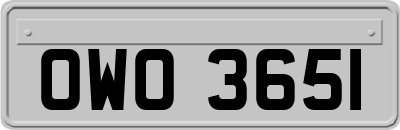 OWO3651