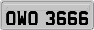 OWO3666