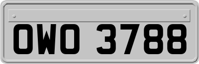 OWO3788