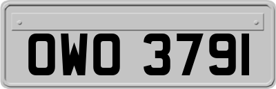 OWO3791