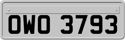 OWO3793
