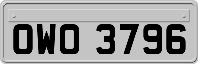 OWO3796