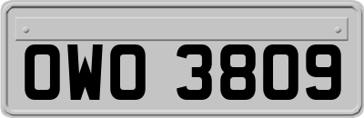 OWO3809