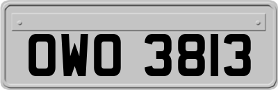 OWO3813