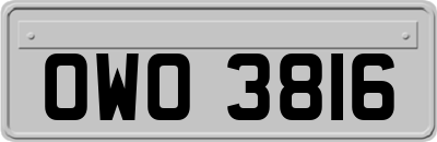 OWO3816