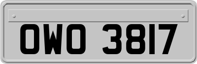 OWO3817