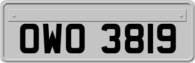 OWO3819