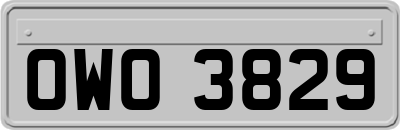 OWO3829