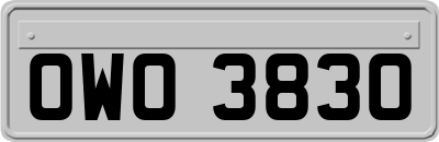 OWO3830