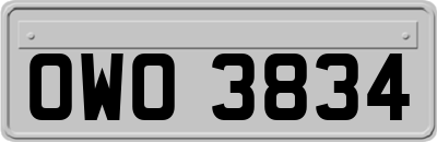 OWO3834