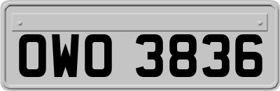 OWO3836