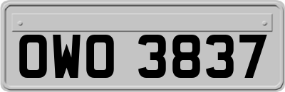 OWO3837