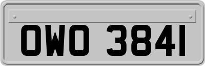 OWO3841