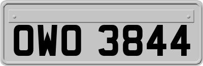 OWO3844