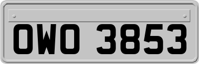 OWO3853