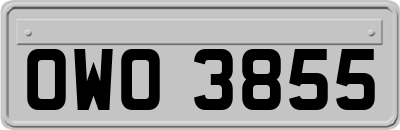 OWO3855