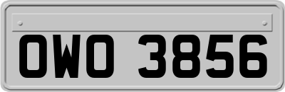 OWO3856