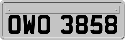 OWO3858