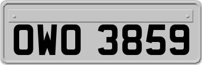 OWO3859