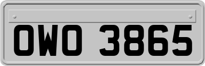 OWO3865