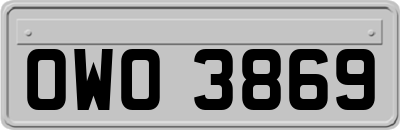 OWO3869