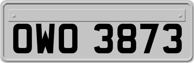 OWO3873