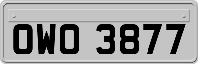 OWO3877