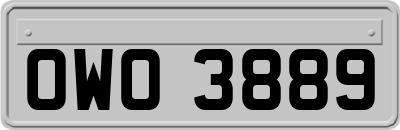 OWO3889