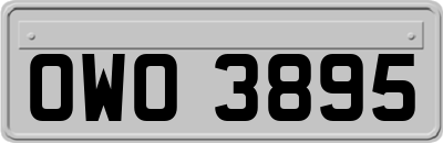 OWO3895