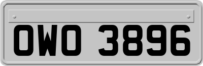 OWO3896