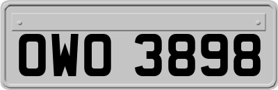 OWO3898