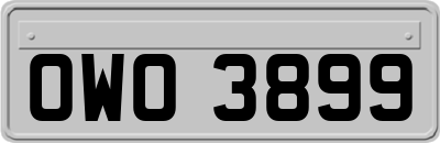 OWO3899